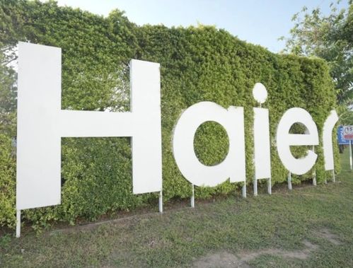 海爾在蕪湖成立新能源科技公司，布局AI與數據處理業務